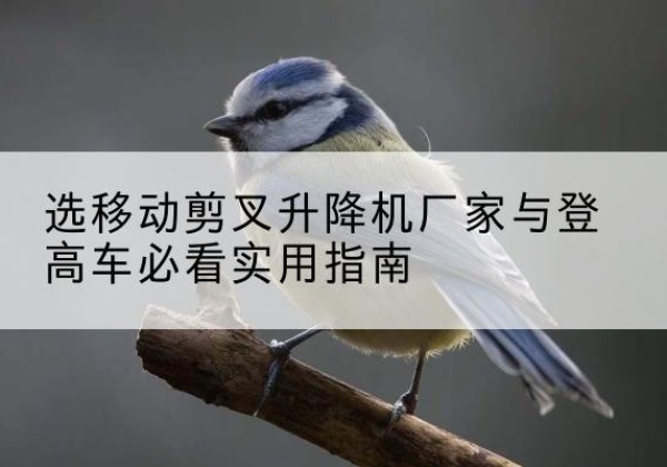 大庆电动升降机厂家-选移动剪叉升降机厂家与登高车必看实用指南