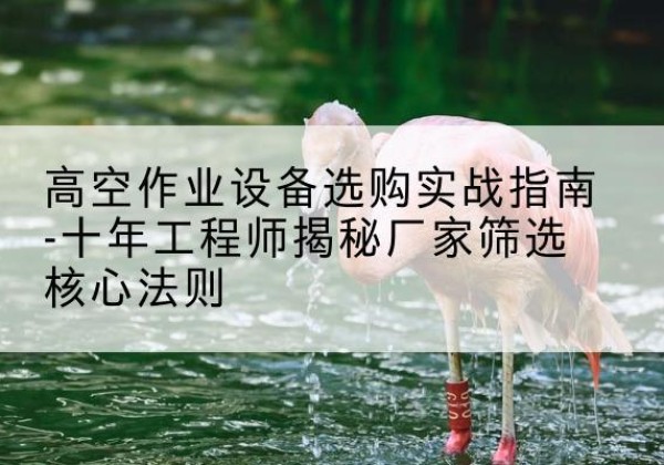大庆剪叉式升降机厂家-高空作业设备选购实战指南-十年工程师揭秘厂家筛选核心法则